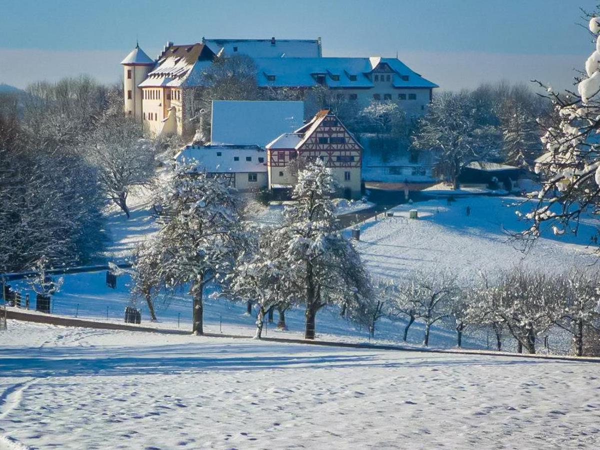 Hotel & Tagungszentrum Schloss Hohenfels Hohenfels  Eksteriør bilde