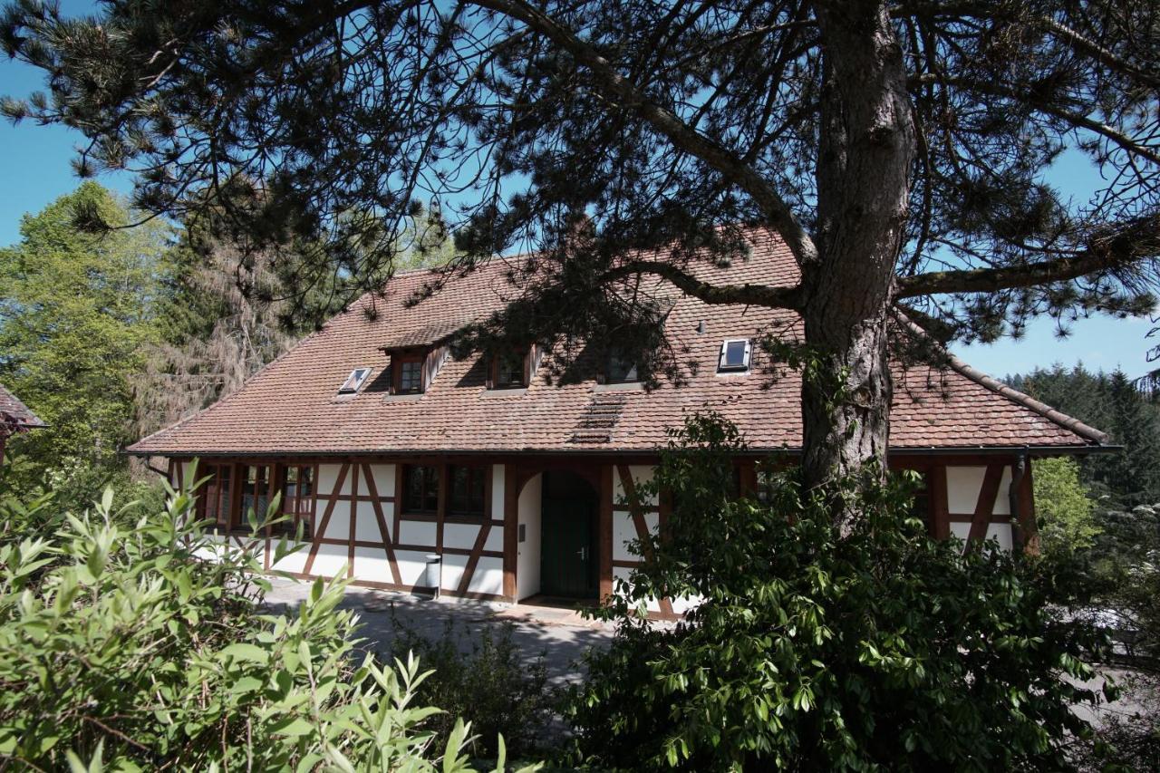 Hotel & Tagungszentrum Schloss Hohenfels Hohenfels  Eksteriør bilde